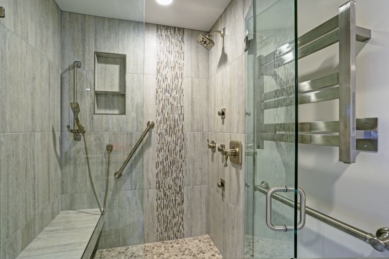 Modern Shower with Built-In Niche