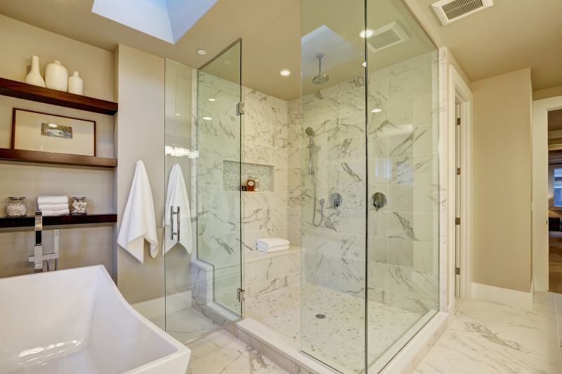 Elegant Shower with Niche Storage